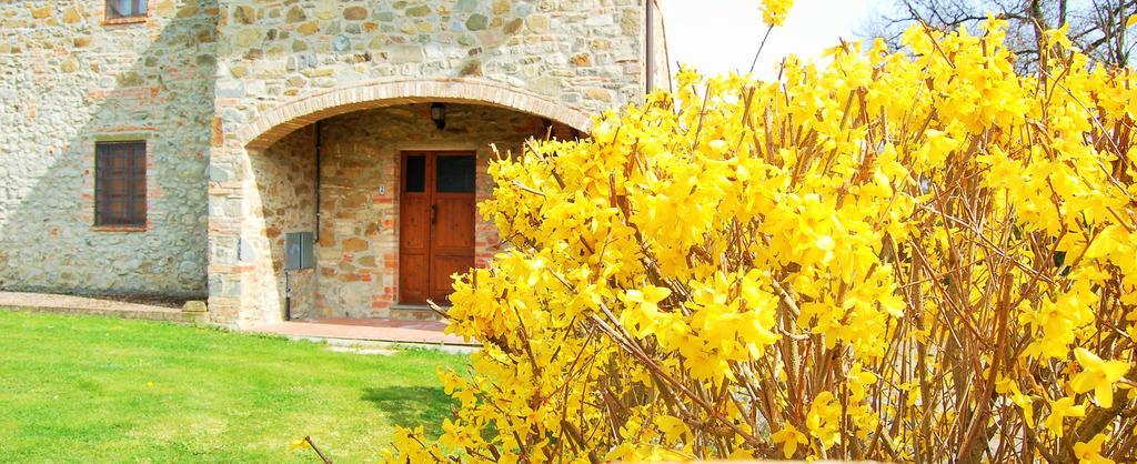 Borgo Nuovo San Martino Casa di campagna Ambra